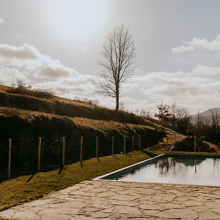 Bed & Breakfast Boschetto Altalanga